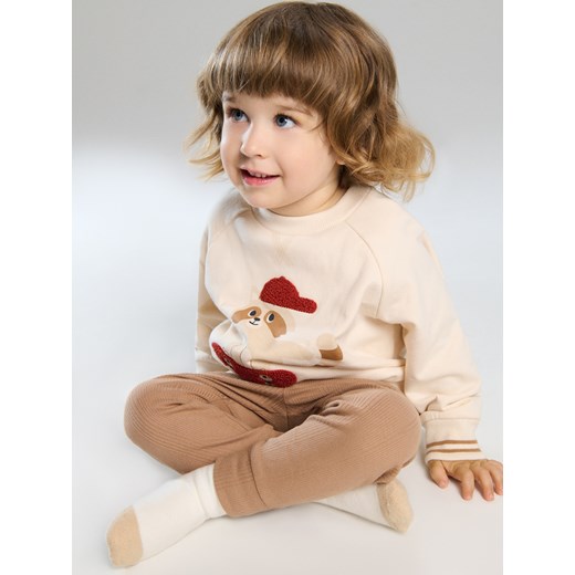 Sinsay - Skarpetki 3 pack - wielobarwny Sinsay 15/18 Sinsay