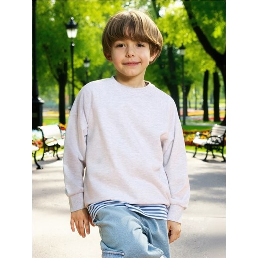 Sinsay - Bluza - szary ze sklepu Sinsay w kategorii Bluzy chłopięce - zdjęcie 185479146