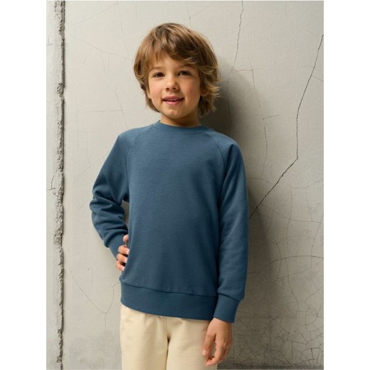 Sinsay - Bluza - niebieski ze sklepu Sinsay w kategorii Bluzy chłopięce - zdjęcie 185479147