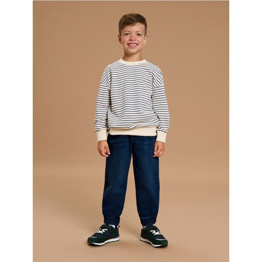 Sinsay - Bluza w paski - wielobarwny ze sklepu Sinsay w kategorii Bluzy chłopięce - zdjęcie 185486478