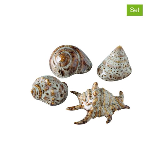 Boltze Muszle (4 szt.) w kolorze kremowo-brązowym - wys. 4 cm ze sklepu Limango Polska w kategorii Dekoracje - zdjęcie 185498656