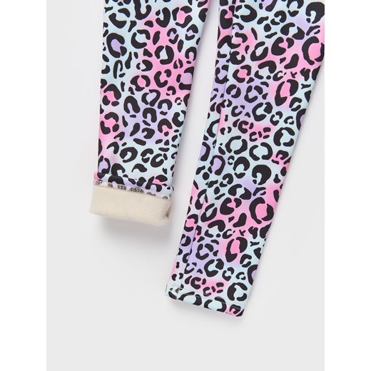 Sinsay - Ocieplane legginsy we wzór zwierzęcy - wielobarwny Sinsay 98 (2-3 l) Sinsay