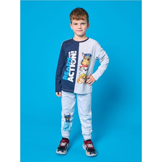Sinsay - Spodnie dresowe PAW Patrol - szary ze sklepu Sinsay w kategorii Spodnie chłopięce - zdjęcie 185524086