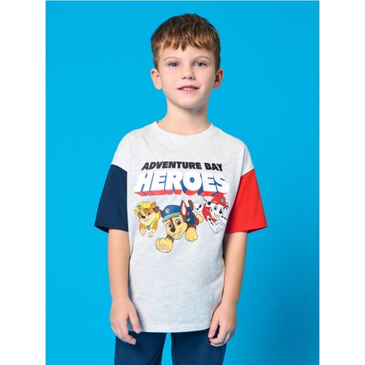 Sinsay - Koszulka PAW Patrol - szary ze sklepu Sinsay w kategorii T-shirty chłopięce - zdjęcie 185524095