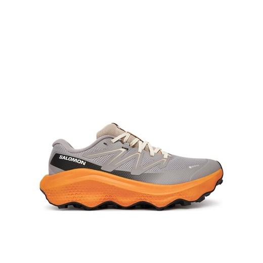 Buty do biegania Salomon Ultra Flow 2 Gore-Tex L47884200 Szary ze sklepu eobuwie.pl w kategorii Buty sportowe męskie - zdjęcie 185547329