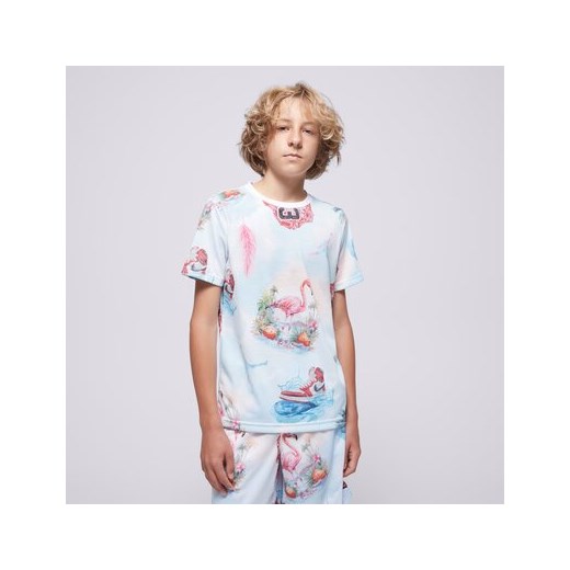JORDAN T-SHIRT JDB JORDAN FLAMINGO AOP SS TEE BOY ze sklepu Sizeer w kategorii T-shirty chłopięce - zdjęcie 185582839