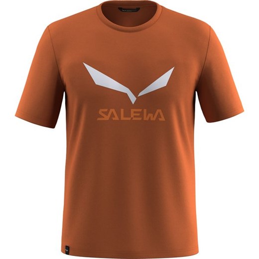 Koszulka męska Solidlogo Salewa ze sklepu SPORT-SHOP.pl w kategorii T-shirty męskie - zdjęcie 185646468