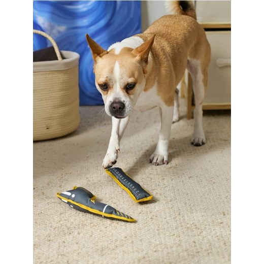 Sinsay - Zabawki dla psa 2 pack - szary ze sklepu Sinsay w kategorii Dla zwierząt - zdjęcie 185804235