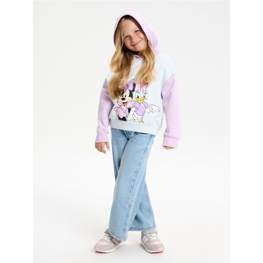 Sinsay - Bluza z kapturem Minnie Mouse - wielobarwny ze sklepu Sinsay w kategorii Bluzy dziewczęce - zdjęcie 185811547