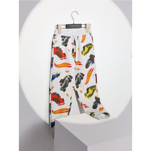 Sinsay - Spodnie dresowe Hot Wheels - szary - id: 282FC-09M - marki Sinsay - 185811635 Sinsay - Spodnie dresowe Hot Wheels - szary ze sklepu Sinsay w kategorii Spodnie chłopięce - zdjęcie 185811635