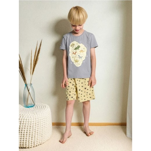 Sinsay - Piżama dwuczęściowa - szary ze sklepu Sinsay w kategorii Piżamy dziecięce - zdjęcie 185811915