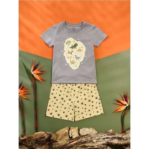 Sinsay - Piżama dwuczęściowa - szary ze sklepu Sinsay w kategorii Piżamy dziecięce - zdjęcie 185818886