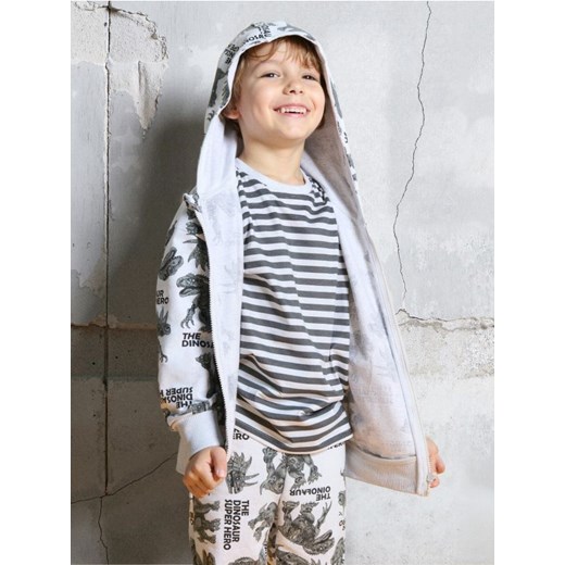 Sinsay - Bluza dresowa z kapturem w dinozaury - szary ze sklepu Sinsay w kategorii Bluzy chłopięce - zdjęcie 185883315