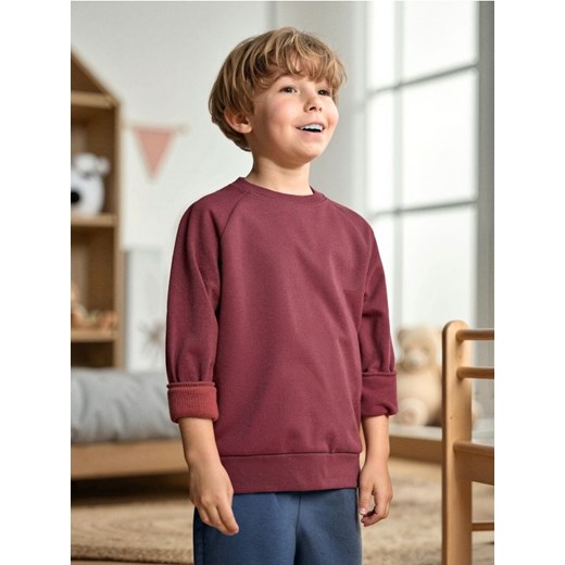 Sinsay - Bluza - bordowy - id: 290DN-83X - marki Sinsay - 185894748 Sinsay - Bluza - bordowy ze sklepu Sinsay w kategorii Bluzy chłopięce - zdjęcie 185894748