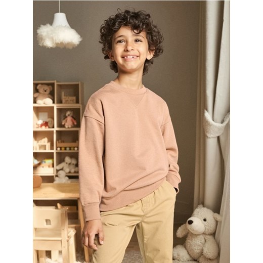 Sinsay - Bluza crewneck - brązowy - id: 291DN-84X - marki Sinsay - 185894749 Sinsay - Bluza crewneck - brązowy ze sklepu Sinsay w kategorii Bluzy chłopięce - zdjęcie 185894749