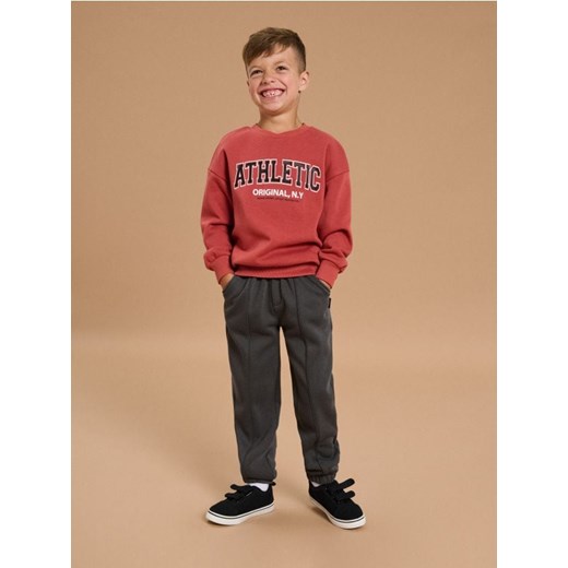 Sinsay - Bluza z napisem - czerwony - id: 351FC-33X - marki Sinsay - 185894785 Sinsay - Bluza z napisem - czerwony ze sklepu Sinsay w kategorii Bluzy chłopięce - zdjęcie 185894785