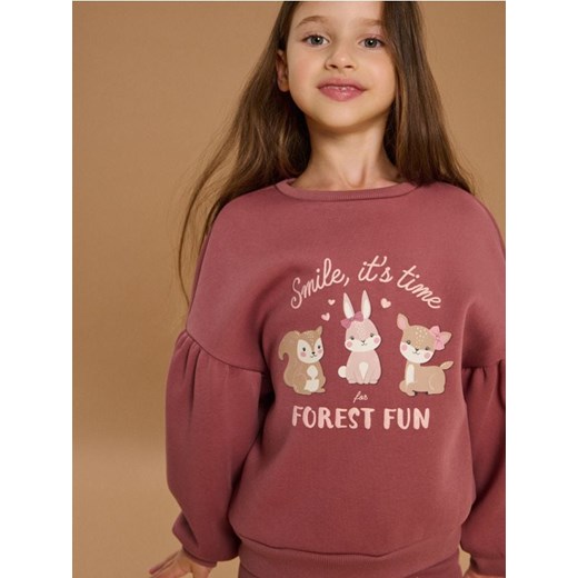 Sinsay - Bluza z nadrukiem w motywie jesiennym - bordowy ze sklepu Sinsay w kategorii Bluzy dziewczęce - zdjęcie 185894815