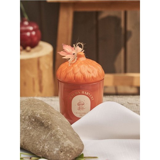 Sinsay - Świeczka Autumn Harvest - pomarańczowy ze sklepu Sinsay w kategorii Dom - zdjęcie 185895239