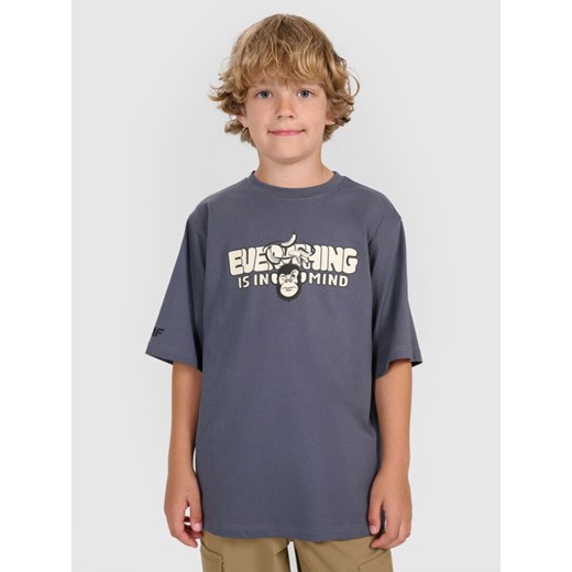 Chłopięcy t-shirt oversize z nadrukiem 4F 4FJRAW25TTSHM3209 - szary ze sklepu Sportstylestory.com w kategorii T-shirty chłopięce - zdjęcie 185900216