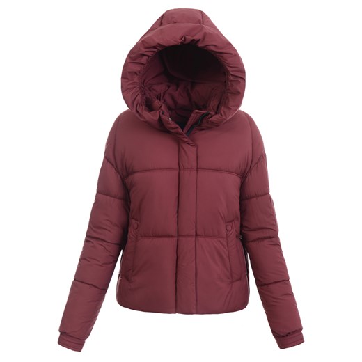 Kurtka Zimowa Damska ze sklepu brendi.pl w kategorii Kurtki damskie - zdjęcie 185968238