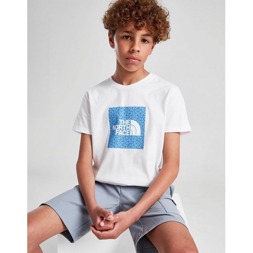 THE NORTH FACE T-SHIRT BOX GEO T WHITE/BLUE B ze sklepu JD Sports  w kategorii T-shirty chłopięce - zdjęcie 185979126