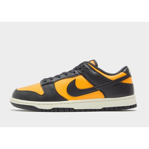 NIKE DUNK LOW RETRO ze sklepu JD Sports  w kategorii Buty sportowe męskie - zdjęcie 185979878