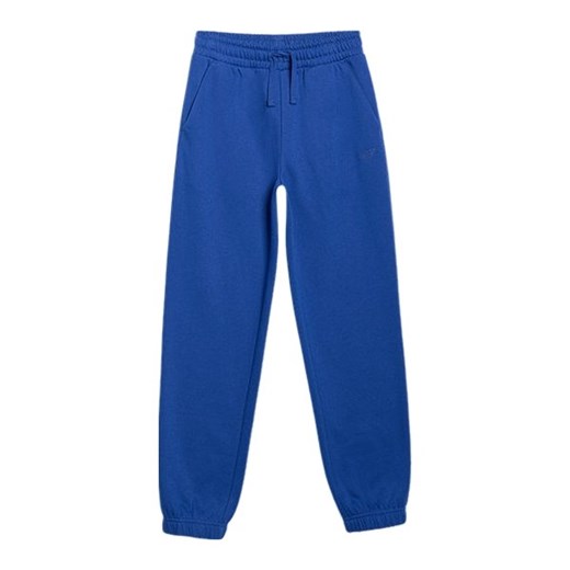 Spodnie dresowe chłopięce TTROM1245 4F ze sklepu SPORT-SHOP.pl w kategorii Spodnie chłopięce - zdjęcie 185993498