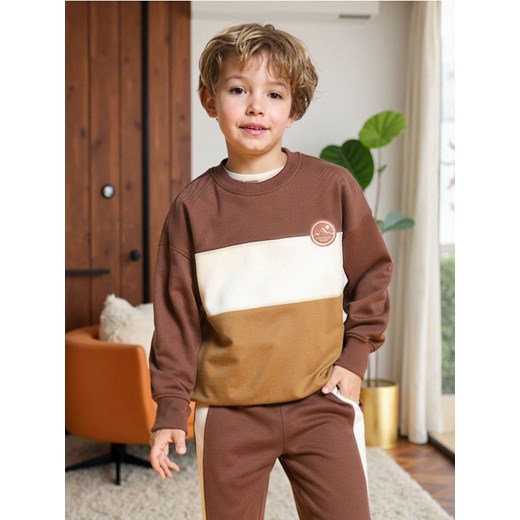Sinsay - Bluza w pasy - brązowy - id: 941FS-88X - marki Sinsay - 186004267 Sinsay - Bluza w pasy - brązowy ze sklepu Sinsay w kategorii Bluzy chłopięce - zdjęcie 186004267