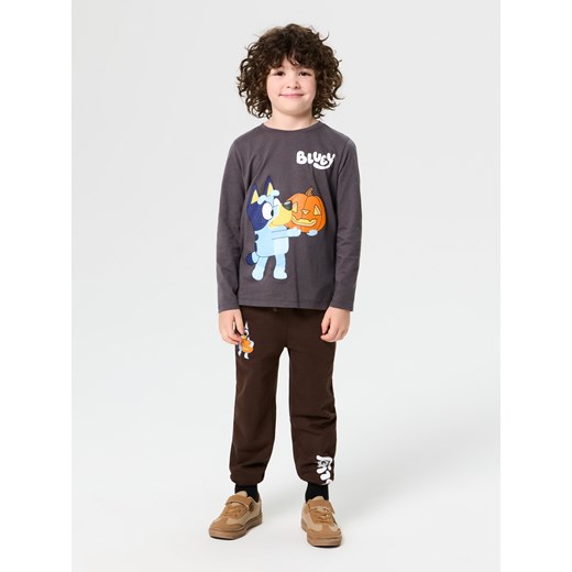 Sinsay - Bawełniana koszulka z nadrukiem Bluey - szary Sinsay 116 (5-6 l) Sinsay