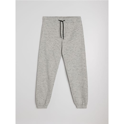 Sinsay - Spodnie dresowe regular jogger - szary ze sklepu Sinsay w kategorii Spodnie męskie - zdjęcie 186081765