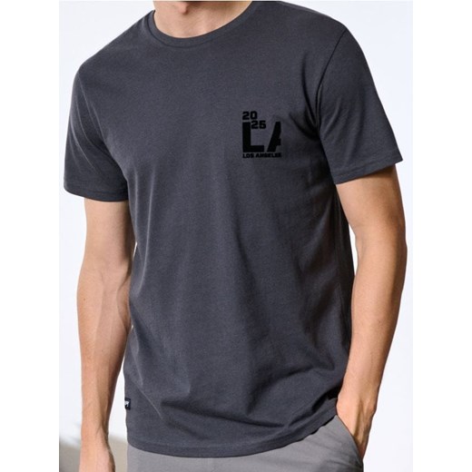 Sinsay - Koszulka z nadrukiem - niebieski ze sklepu Sinsay w kategorii T-shirty męskie - zdjęcie 186083107