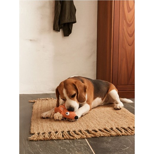 Sinsay - Zabawka dla psa z sznurami do szarpania i piszczałką w środku - pomarańczowy ze sklepu Sinsay w kategorii Dla zwierząt - zdjęcie 186083729