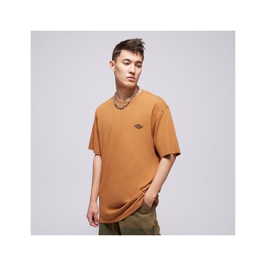 DICKIES T-SHIRT SUMMERDALE SS TEE ze sklepu Sizeer w kategorii T-shirty męskie - zdjęcie 186091726