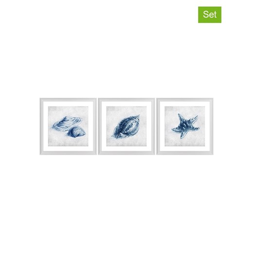 Ars Longa Druki artystyczne (3 szt.) &quot;Blue Shells&quot; w ramce - 70 x 70 cm ze sklepu Limango Polska w kategorii Obrazy - zdjęcie 186157379