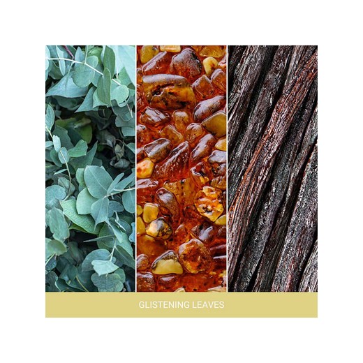 Yankee Candle Świeca zapachowa &quot;Glistening Leaves&quot; - 567 g Yankee Candle onesize promocyjna cena Limango Polska