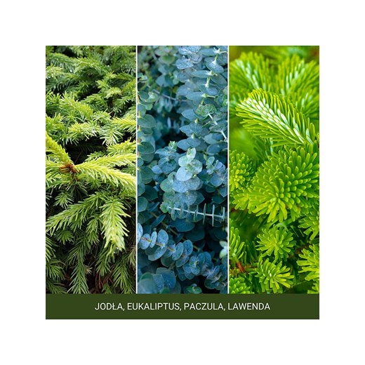 Yankee Candle Świeca zapachowa &quot;Shimmering Christmas Tree&quot; - 37 g Yankee Candle onesize promocyjna cena Limango Polska