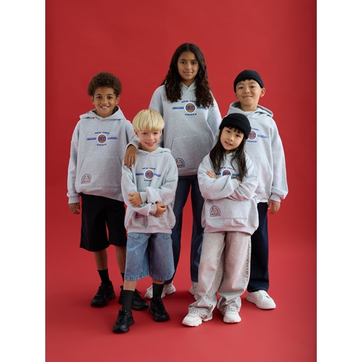 Reserved - Bluza New York Knicks NBA - jasnoszary ze sklepu Reserved w kategorii Bluzy chłopięce - zdjęcie 186214556