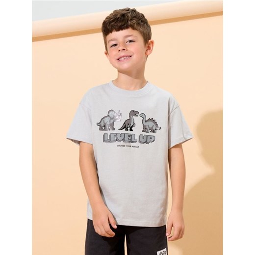 Sinsay - Koszulka z krótkim rękawem - szary ze sklepu Sinsay w kategorii T-shirty chłopięce - zdjęcie 186218028