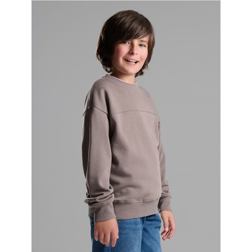 Sinsay - Bluza crewneck basic - brązowy - id: 267DN-88X - marki Sinsay - 186386329 Sinsay - Bluza crewneck basic - brązowy ze sklepu Sinsay w kategorii Bluzy chłopięce - zdjęcie 186386329