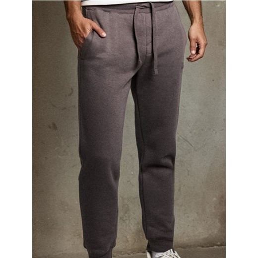 Sinsay - Spodnie dresowe - szary ze sklepu Sinsay w kategorii Spodnie męskie - zdjęcie 186447137