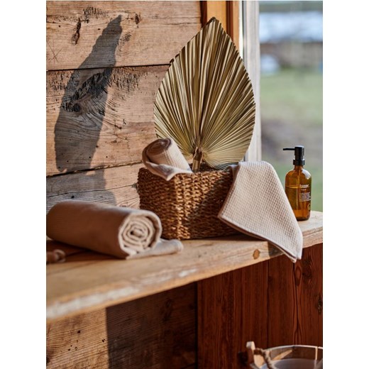 Sinsay - Roślina ozdobna - beżowy Sinsay One Size Sinsay