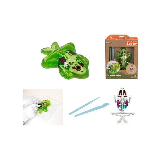 Simba Zestaw "Dissect-It - Frog" do eksperymentowania - 6+ (produkt niespodzianka) - id: 17764025 - marki Simba - 186581006 Simba Zestaw "Dissect-It - Frog" do eksperymentowania - 6+ (produkt niespodzianka) ze sklepu Limango Polska w kategorii Zabawki - zdjęcie 186581006