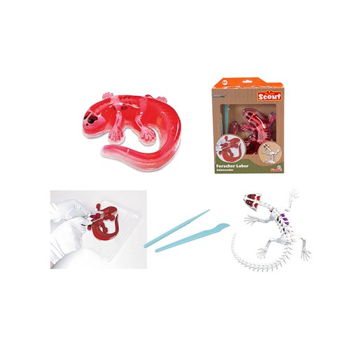 Simba Zestaw "Salamander" do eksperymentowania - 6+ (produkt niespodzianka) - id: 17764026 - marki Simba - 186581007 Simba Zestaw "Salamander" do eksperymentowania - 6+ (produkt niespodzianka) ze sklepu Limango Polska w kategorii Zabawki - zdjęcie 186581007