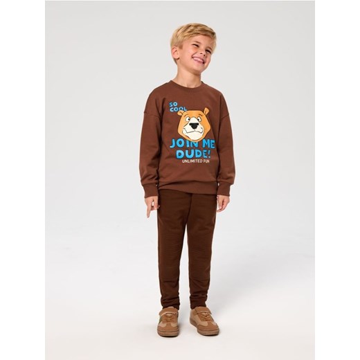 Sinsay - Spodnie jogger basic - brązowy ze sklepu Sinsay w kategorii Spodnie chłopięce - zdjęcie 186665898