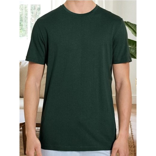 Sinsay - Koszulka - zielony ze sklepu Sinsay w kategorii T-shirty męskie - zdjęcie 186780896