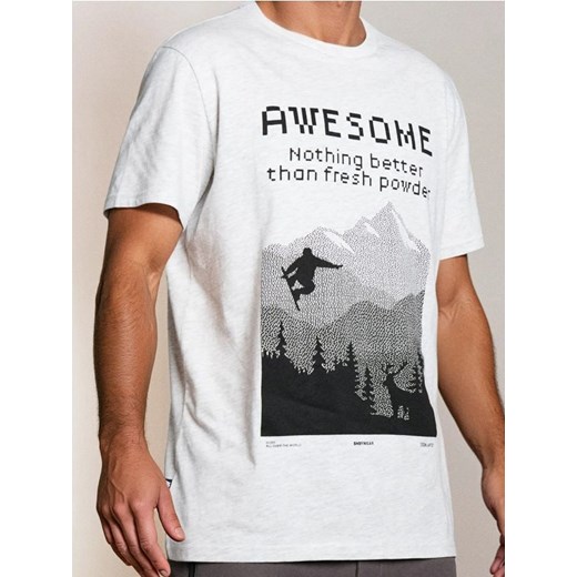 Sinsay - Koszulka z nadrukiem zimowym - szary ze sklepu Sinsay w kategorii T-shirty męskie - zdjęcie 186780987