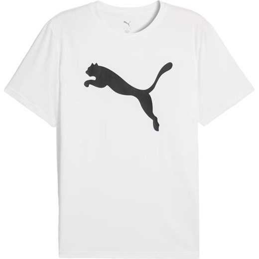 Koszulka męska Train All Day Solid Cat Puma ze sklepu SPORT-SHOP.pl w kategorii T-shirty męskie - zdjęcie 186821737