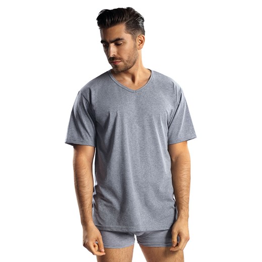 Koszulka t-shirt Reviver F5571 T2 szary ze sklepu kontri.pl w kategorii T-shirty męskie - zdjęcie 187047916
