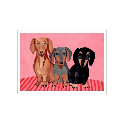 Poster &amp; Frame Druk artystyczny &quot;Dachshunds&quot; ze sklepu Limango Polska w kategorii Obrazy - zdjęcie 187221546