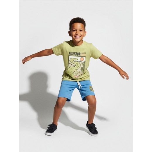 Sinsay - Koszulka z nadrukiem - zielony ze sklepu Sinsay w kategorii T-shirty chłopięce - zdjęcie 187280696